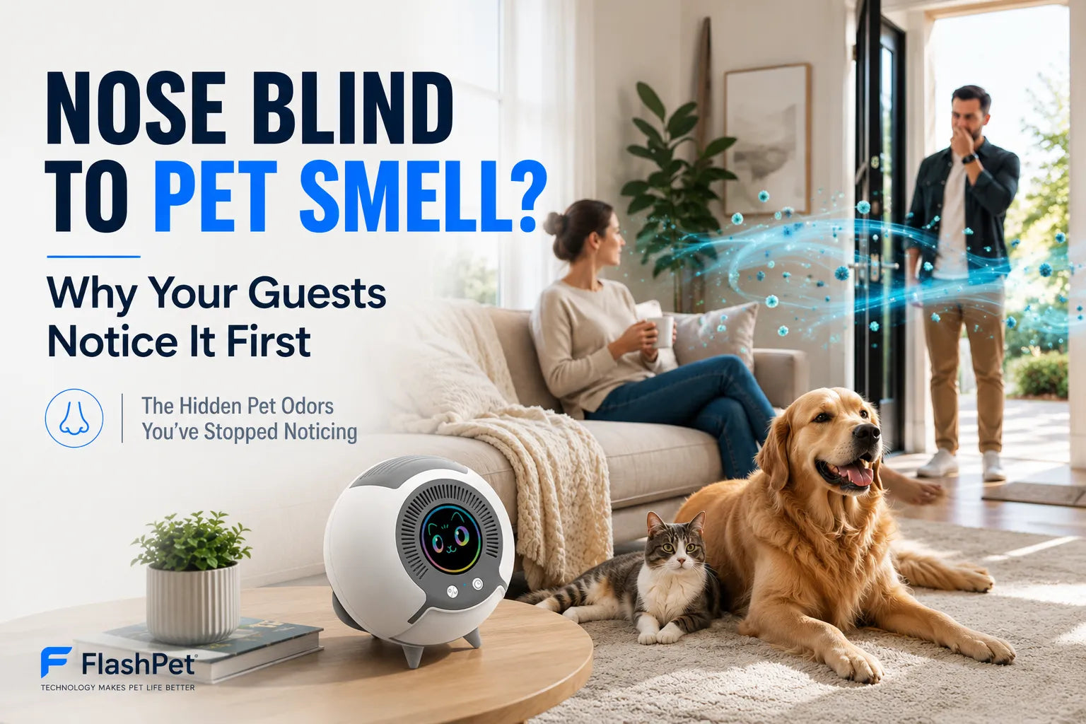Nose Blind to Pet Smell? Why Your Guests Notice It First